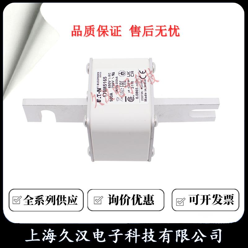 61670M513/5164/515/5166/516YZB7/5168BUSSMANN熔断器保险丝FUSE