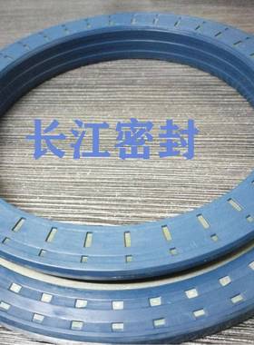 REDKOMBI80-12510/19MSSLR85C-8011JDM3-19德国FW-组合-油封