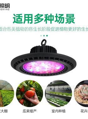 UFO飞碟灯大棚ED生L育长灯200W苗叶菜果透风散热瓜FF650植物补光