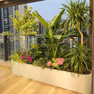 花园阳台造景布置金属异形造型花池户外别墅铁艺弧形花箱组合定制