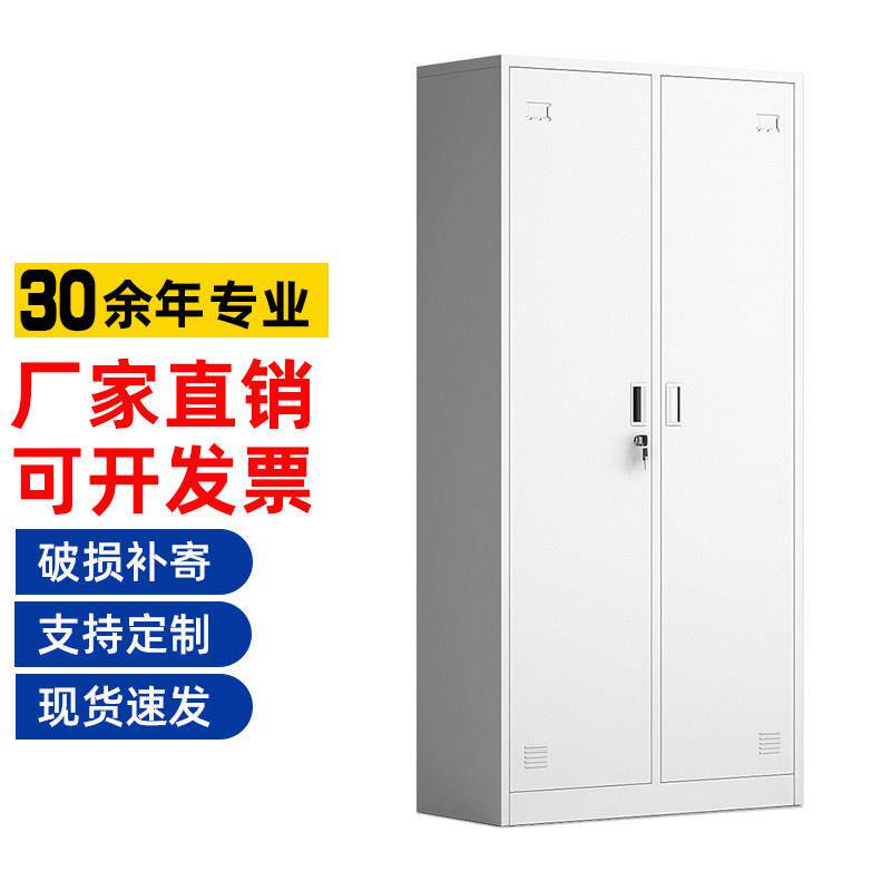 钢制二门更衣柜宿舍带锁多门储物柜工厂员工换衣柜子铁皮双门衣柜