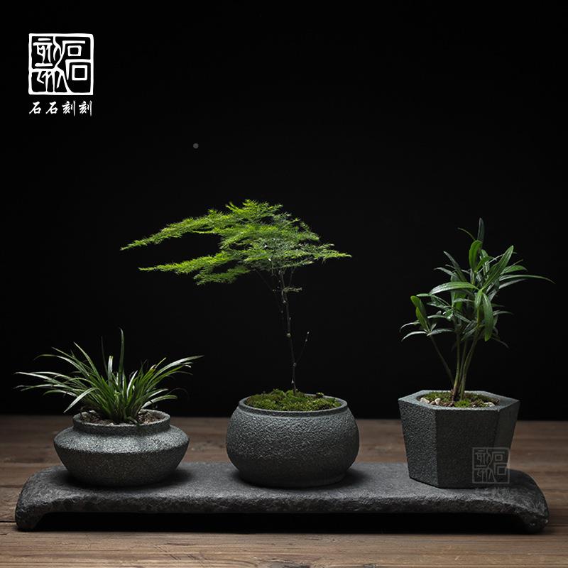 青蒲头微景HP-16-12观小花摆件盆绿石植菖文竹创意盆栽造景家居装