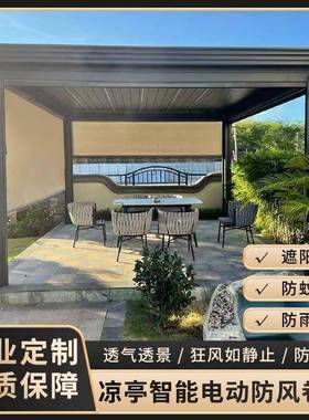 阳电防风卷纱帘凉亭遮阳帘户外挡动tb-79318雨防蚊窗帘智台能开放