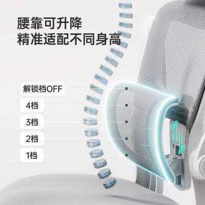 中青少年专用学习椅椅家用书桌学体生子护腰座椅办公椅人Y1工学椅