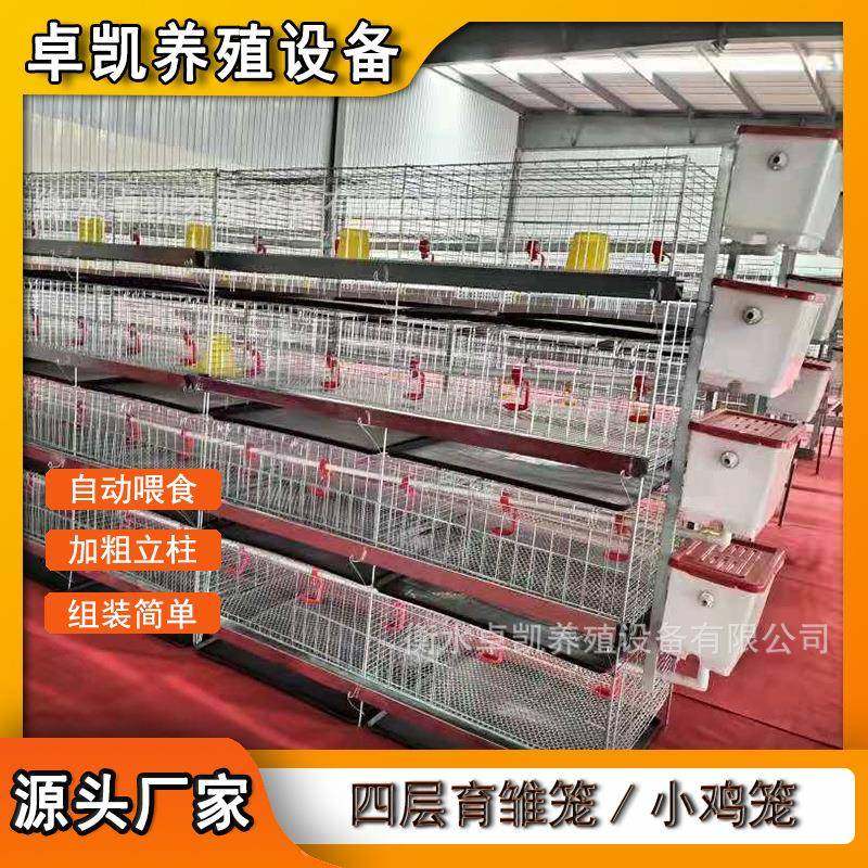 一体四层立式小鸡笼层叠式育雏笼自动化青年鸡笼养殖笼铁槽,农机/农具/农膜,农用防护器具,淘宝优惠券,粉丝福利购,淘宝优惠卷