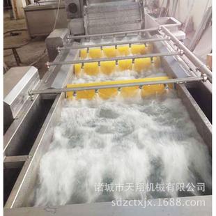 天蘑果菇清洗机 翔 生产蔬菜水果清洗机机 蔬清洗售后保障