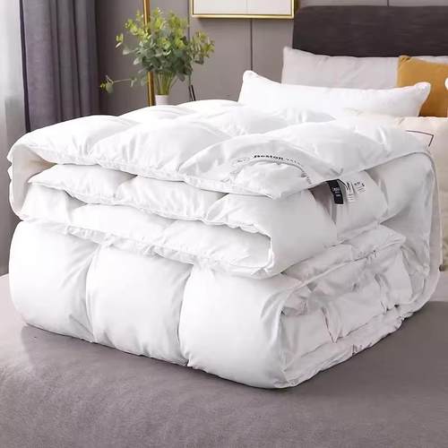 羽绒被95白鹅绒被子冬被保暖春秋被芯冬季加厚鸭绒单双人宿舍