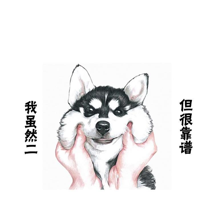 深圳断桥铝塑钢三层PVB夹胶中空真空专业隔音玻璃平开窗户封阳台