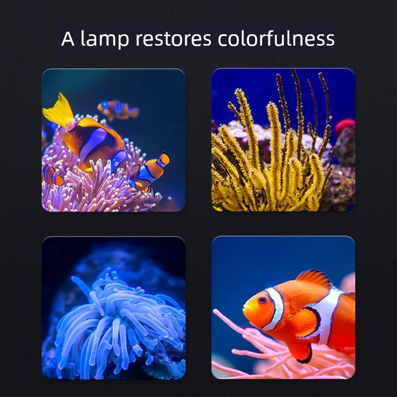 益科达鱼缸灯led灯潜水灯龙鱼艳照水族箱灯管鱼防水水草灯增七彩