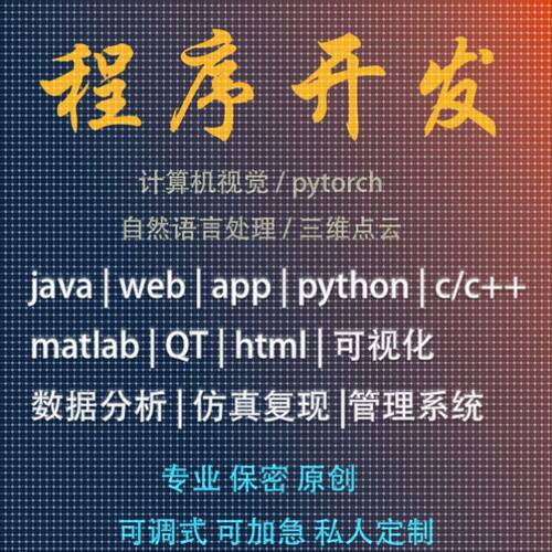 python代码编写java编程c语言c#计算机程序c++系统开发安卓qt定制