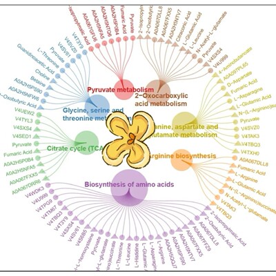 预后模型代谢基因免疫标志KEGGGO热图火山图单细胞