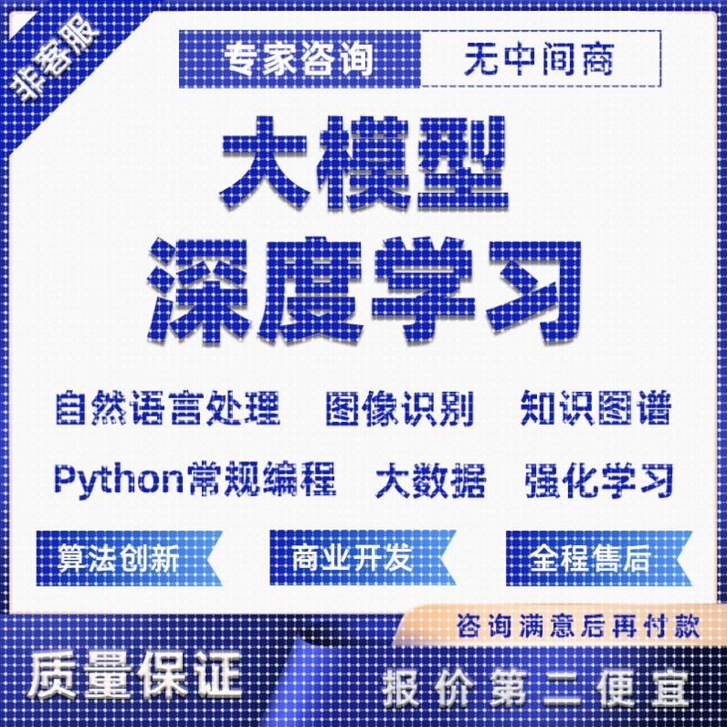 python代做编程AI智能体目标检测神经网络NLP知识图谱机器学习