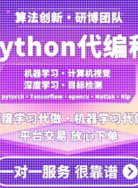 python代编程深度学习代做代码指导调试算法改进模型创新程序跑通