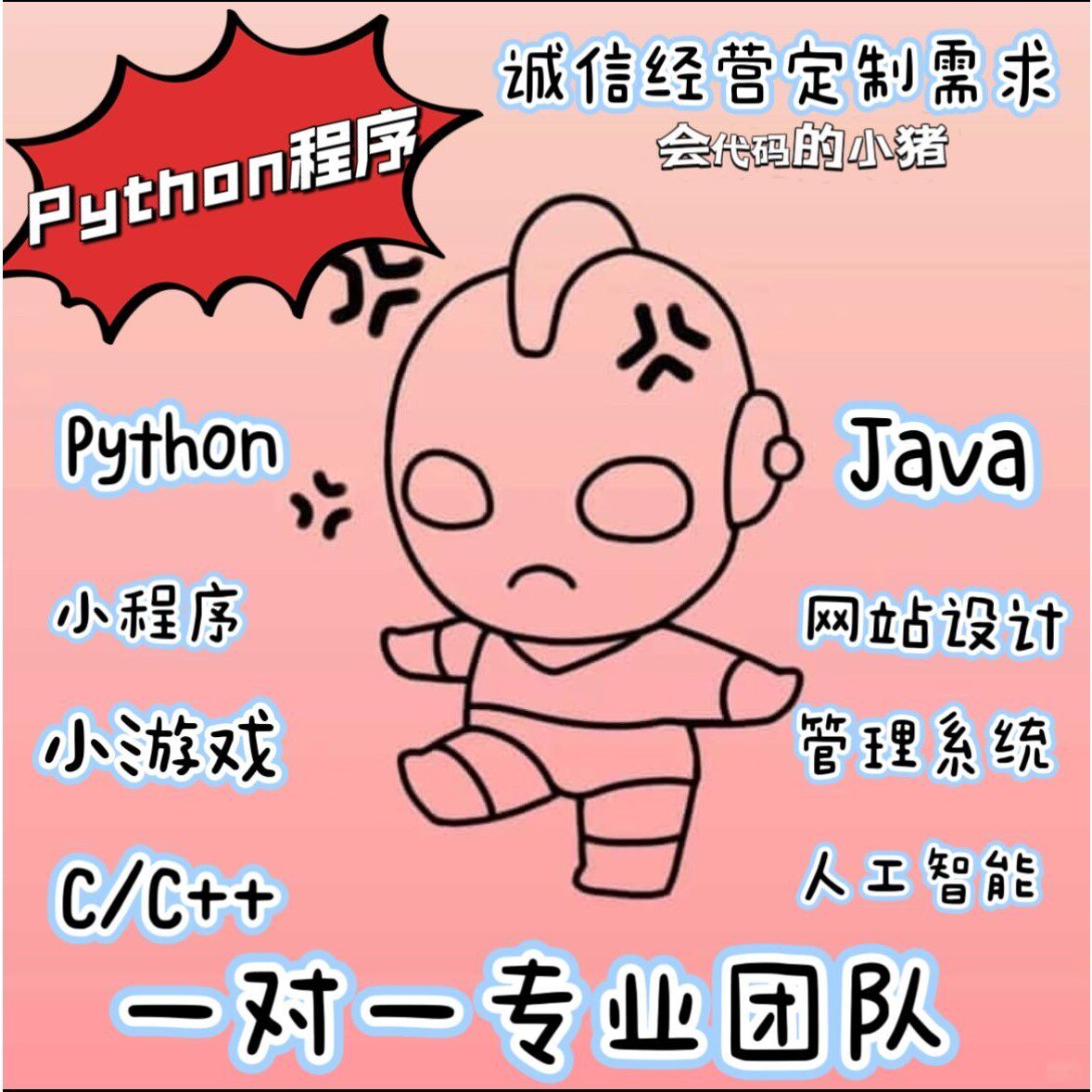 python代编程vue前后端web网页设计html代做网站定制java程序设计