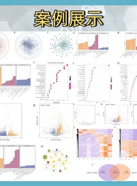 生物信息学脚本定制 Perl/Python/R 数据分析流程 个性化解决