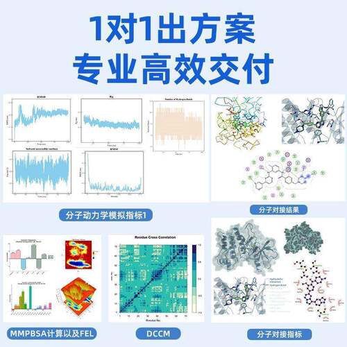 Lammps Vasp辅助网络药理学分子对接药物靶点筛选