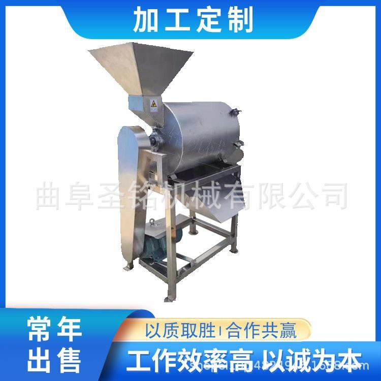 商用大型红枣去核打浆机金桔去皮去籽打浆机 工业大型果蔬打泥机