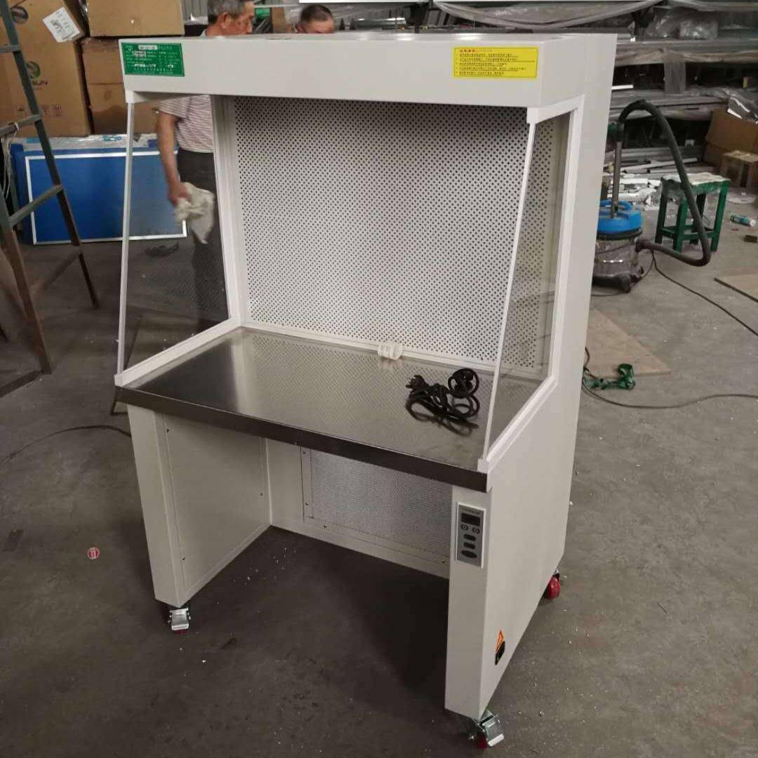 实体工厂实验室微生物食品菌种新颖型百级单双人水平流超净化台厂