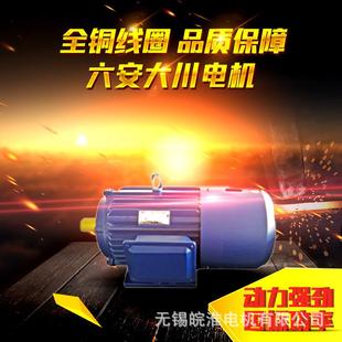 六安大川电机YE2EJ刹车制动一级能效三相异步电动机变频粉尘防爆