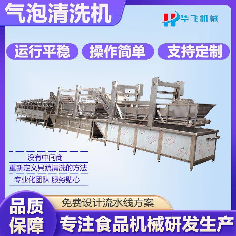 全自动小鱼仔清洗线 商用红枣清洗设备 果蔬气泡清洗机