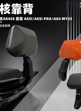 适用极核AE4/Ae5i电摩电自靠背铝合金后靠背加厚靠垫无损直上配件