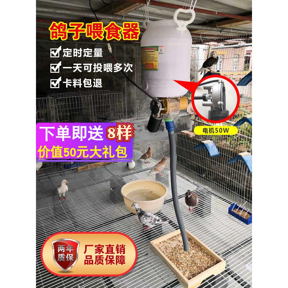 鸽子用品自动喂食器定时定量投食器喂料机信鸽观赏鸽鸡鸭鹅狗鱼猫
