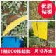 双面粘虫板诱虫板黄板蓝板大棚白粉虱蓟马果实蝇黏沾虫贴一箱 包邮