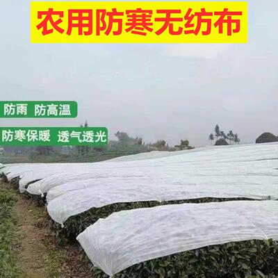 水稻育秧专用不织布果园覆盖膜白色果蔬盖布植草草地膜防霜大卷