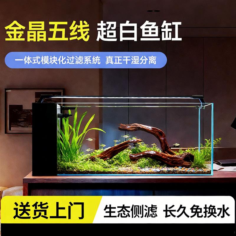 金晶超白玻璃侧滤鱼缸桌面小型客厅家用生态金鱼缸新款桌面水族箱