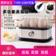 110V 230V蒸蛋器美欧英规不锈钢家用小型煮蛋器台湾香港用早餐机