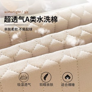 四季 防水床笠床罩2025新款 通用隔尿透气可机洗床垫保护罩床单床套