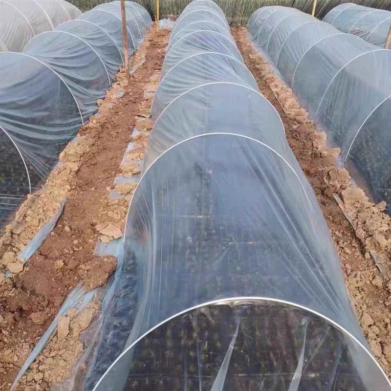 拱棚支架玻璃纤维搭棚纤维杆花棚防虫秧苗蔬菜弓子玻璃纤维杆种植