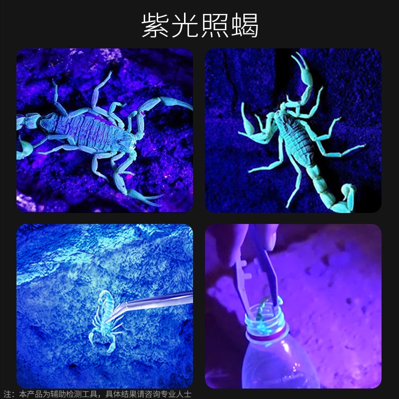 2025新款照蝎子专用灯手电筒超长续航充电户外超亮强光紫光395nm