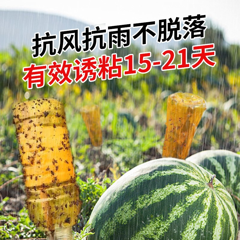 豪之盛瓜果实蝇诱粘剂灭果蝇针锋诱捕器果树园专用杀昆虫药引诱剂
