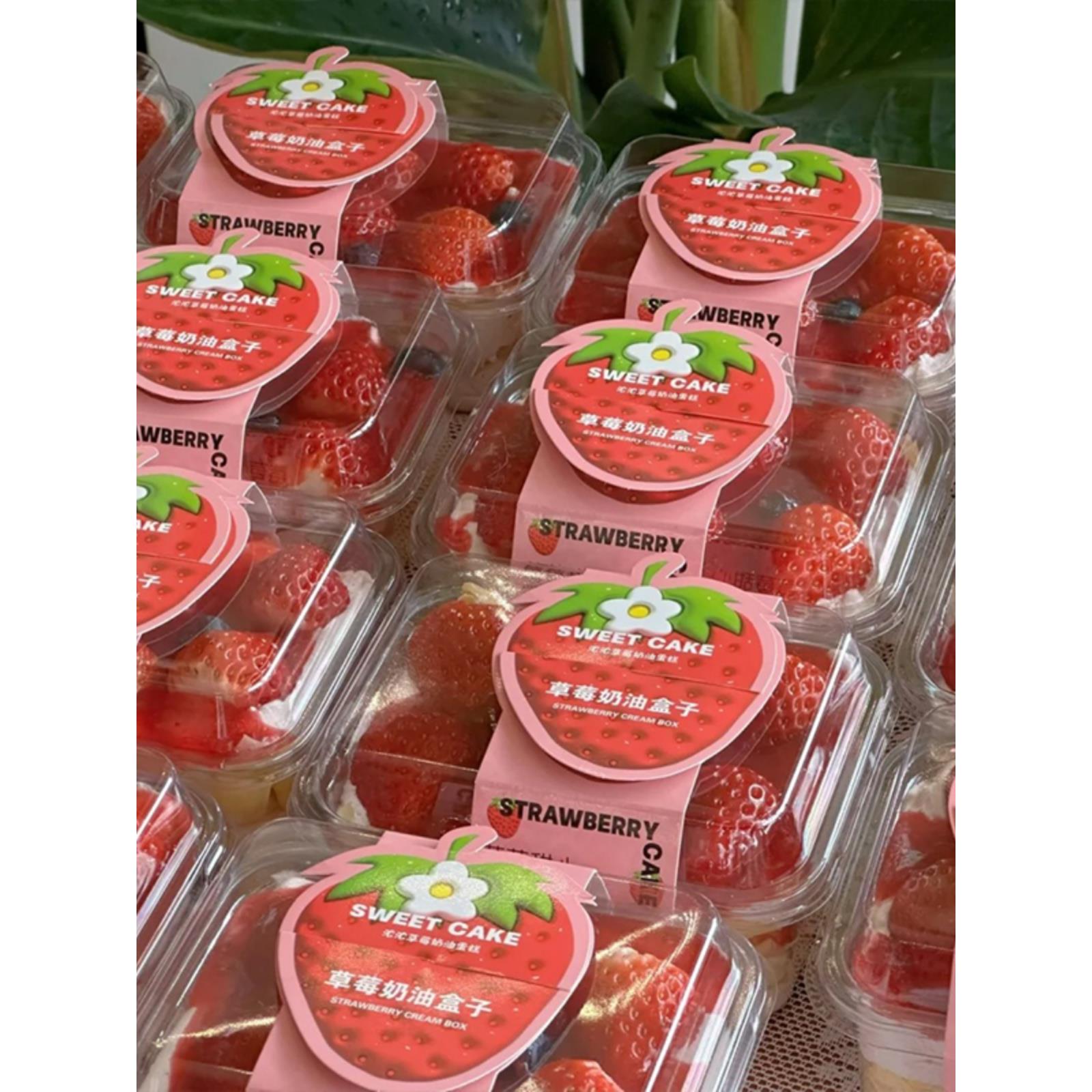 瑞文焙烤一次性透明提拉米苏盒草莓层盒蛋糕拿破仑蛋糕包装盒