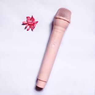 假话筒道具粉色儿童仿真手持麦克风模型小主持人舞台演出假唱口才