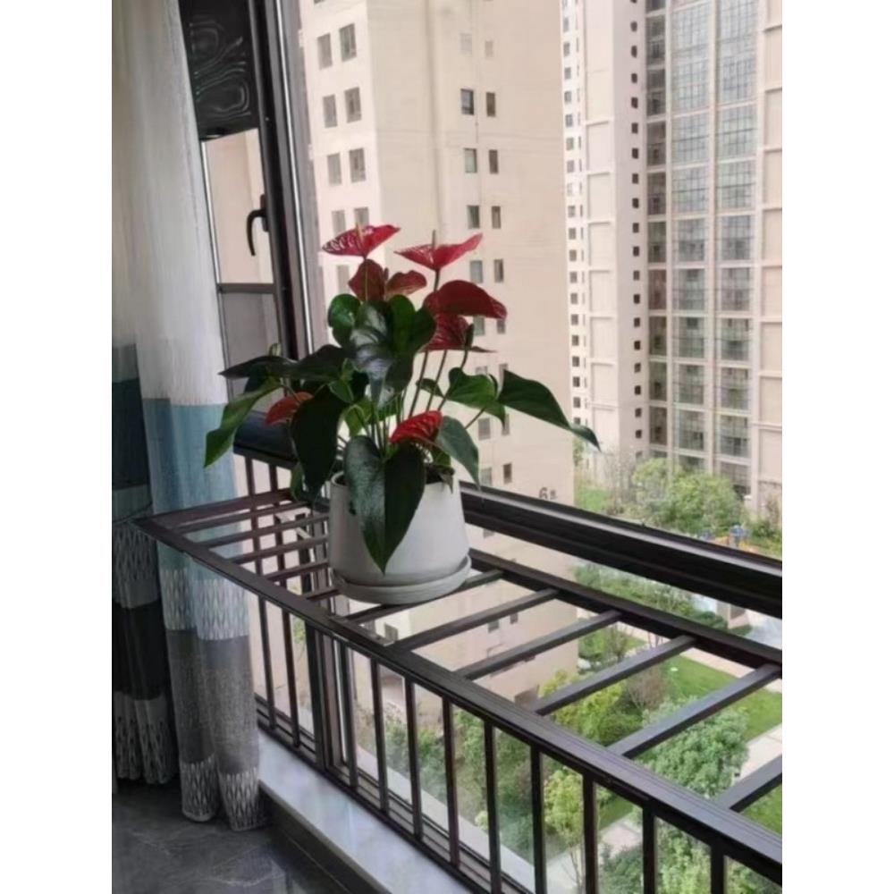 窗户防护栏阳台多功能可折叠晾晒衣置物架防儿童坠落防盗窗栏杆网