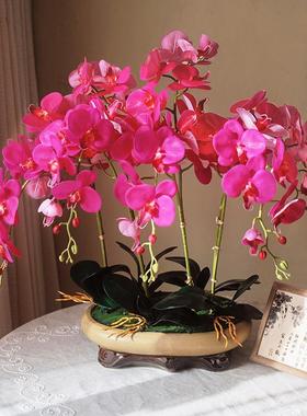 手感pu蝴蝶兰仿真花艺高端摆花客厅摆设花装饰假花摆件盆栽电视柜