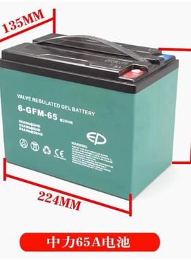 中力电动叉车电池12V小金刚配件电瓶蓄电池6-GFM30A65A85AH免维护