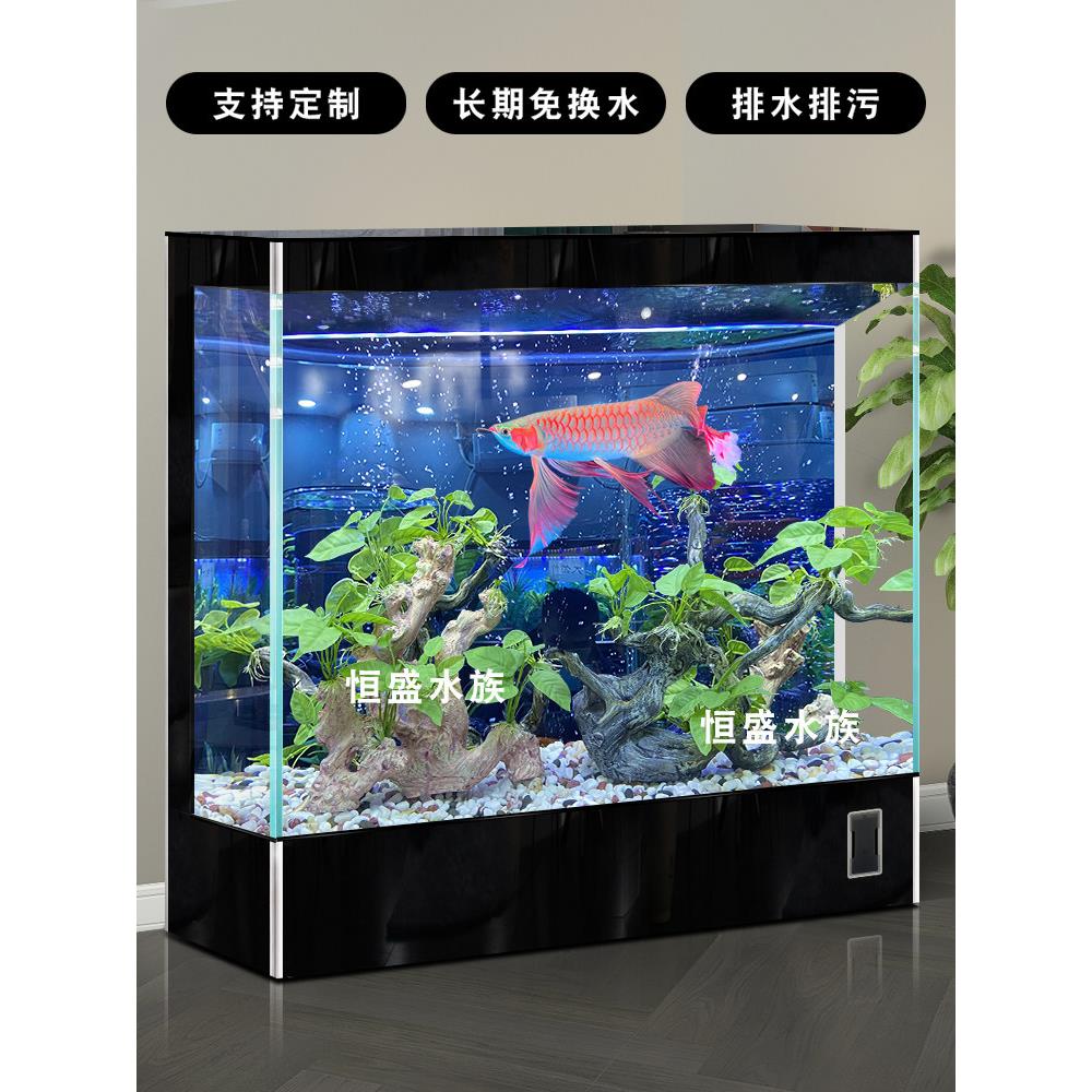 免换水鱼缸客厅2025新型家用垂直落地玻璃观赏性免维护大型鱼缸水