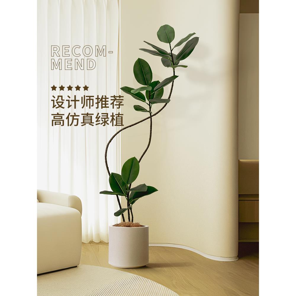 罗曼妈妈高端轻奢橡皮树仿真绿植客厅盆栽室内装饰假植物落地摆件