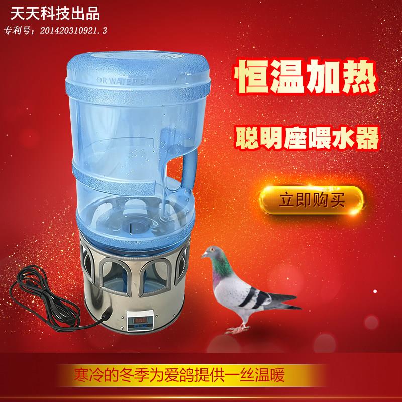 鸽子恒温不锈钢加热喂水器防冻冬季保温用品自动饮鸡鸭鹅鸟喝水壶