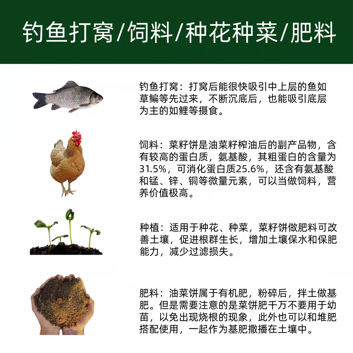 新鲜油菜饼钓鱼打窝花生饼种花种菜肥料有机肥钓鱼打窝有机肥料