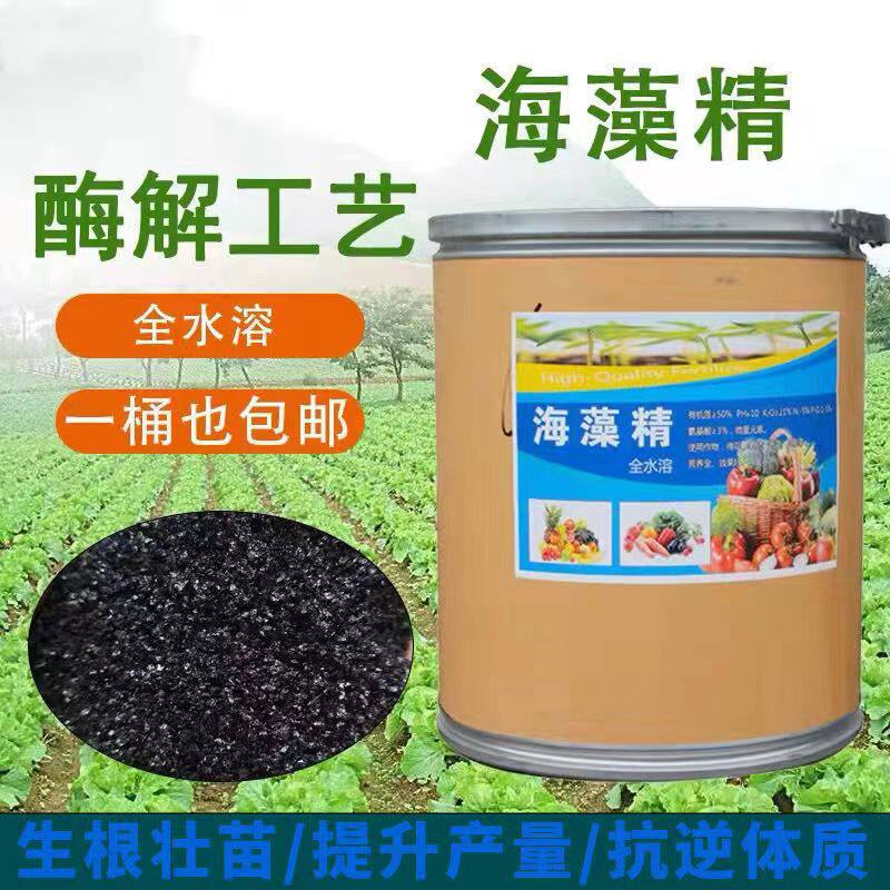 优级海藻精原粉天然有机全水溶肥料生物酶解海藻肥叶面肥促根壮苗