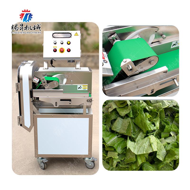 多功能切菜机 商用瓜果蔬菜土豆萝卜药材大型切片切丝机 输送带