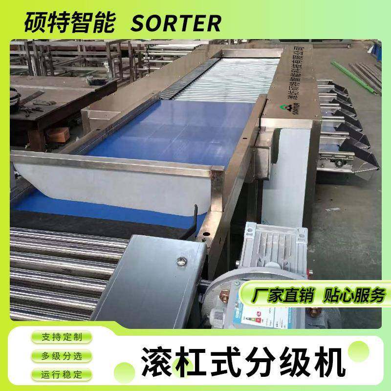 和田枣大小分选机 圣女果滚杠选果机 荔枝土豆果蔬直径多级分拣机,清洗/食品/商业设备,肉制品加工设备,淘宝优惠券,粉丝福利购,淘宝优惠卷