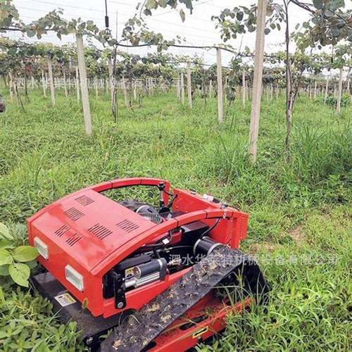 葡萄园用遥控割草机 河滩荒草杂草灌木丛割草机 履带自行走除草机