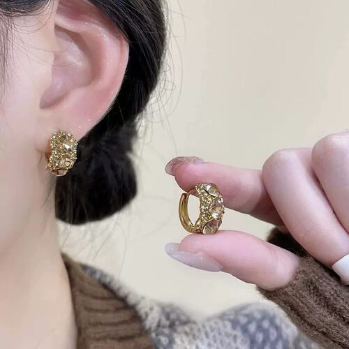 美拉德复古咖色水钻圆圈耳环女2025新款爆款耳钉耳扣精致百搭耳饰