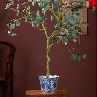 陶瓷多肉花盆家用蝴蝶兰花轻奢高级感大小号新中式青花瓷陶瓷花盆