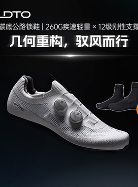 WILDTO野途破风碳纤维锁鞋专业竞赛公路自行车单车鞋超轻骑行鞋